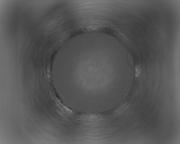 X0000051861011200506241315