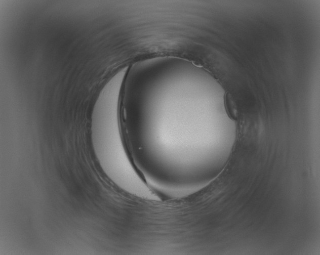 X0000051861012200506241315