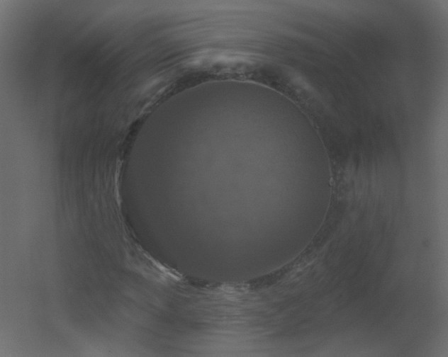 X0000051861013200506241315