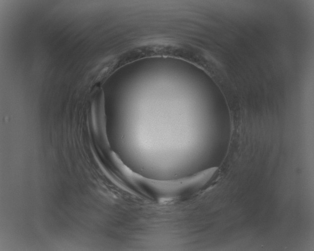 X0000051861014200506241315