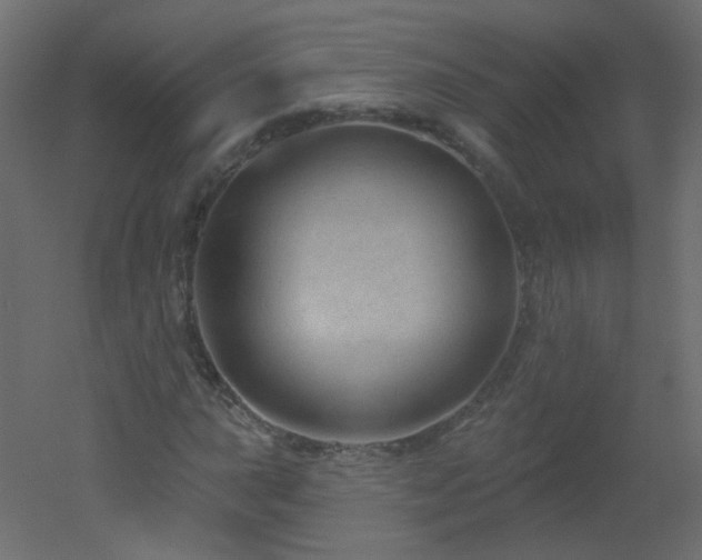 X0000051861015200506241315