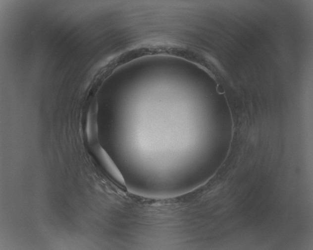 X0000051861016200506241315