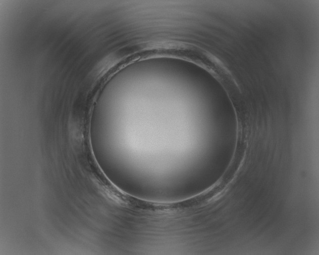 X0000051861017200506241315