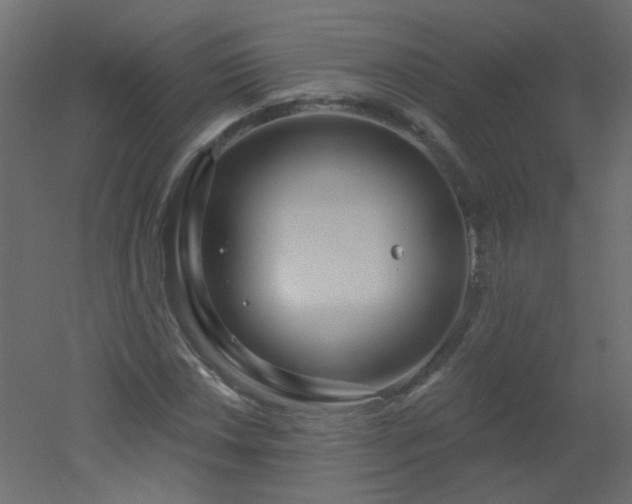 X0000051861018200506241315