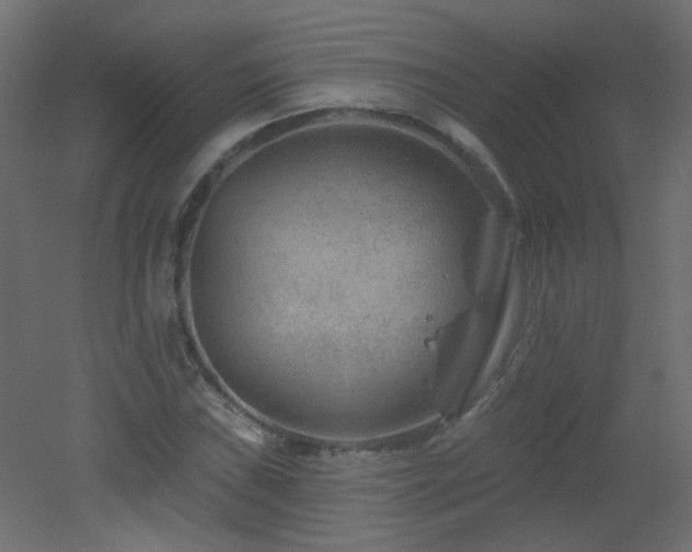 X0000051861019200506241315