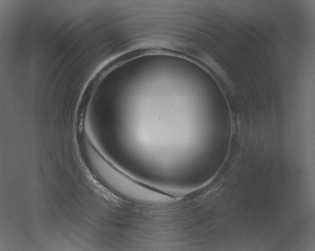 X0000051861020200506241315