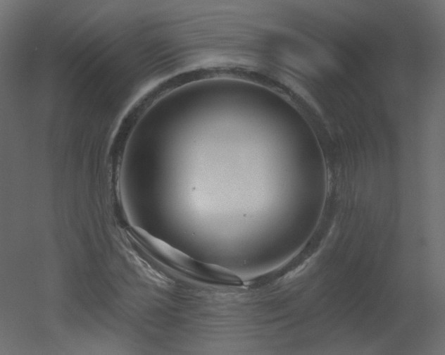 X0000051861021200506241315