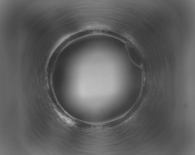 X0000051861022200506241315