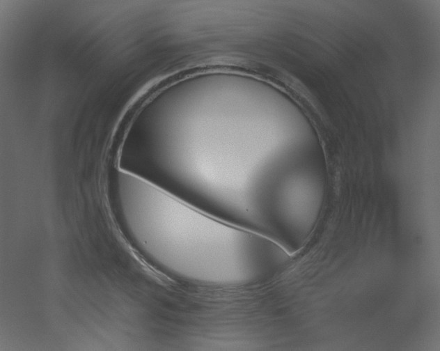 X0000051861024200506241315