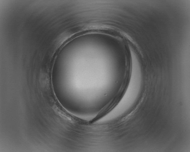 X0000051861025200506241315