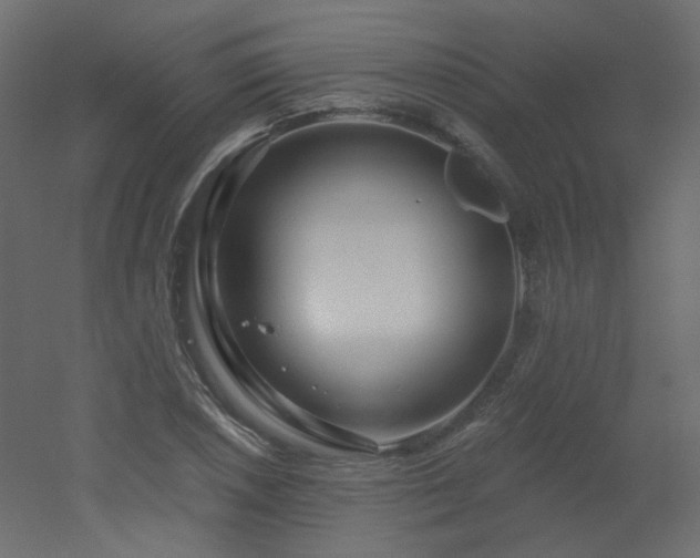 X0000051861026200506241315