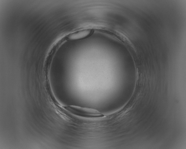 X0000051861027200506241315