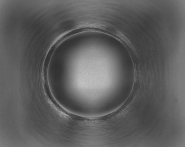 X0000051861028200506241315