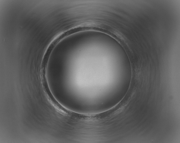 X0000051861029200506241315