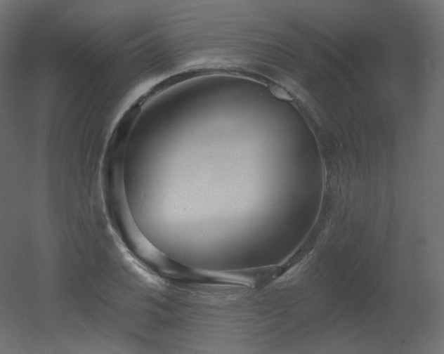 X0000051861030200506241315