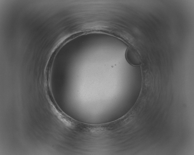 X0000051861031200506241315