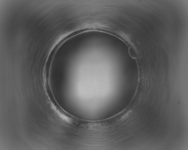 X0000051861032200506241315