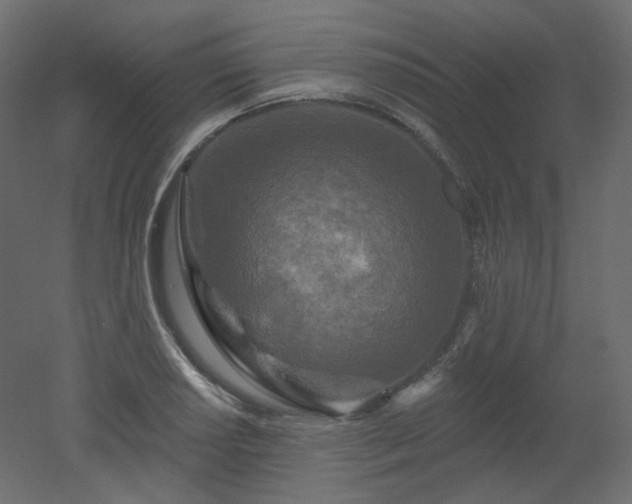 X0000051861034200506241315