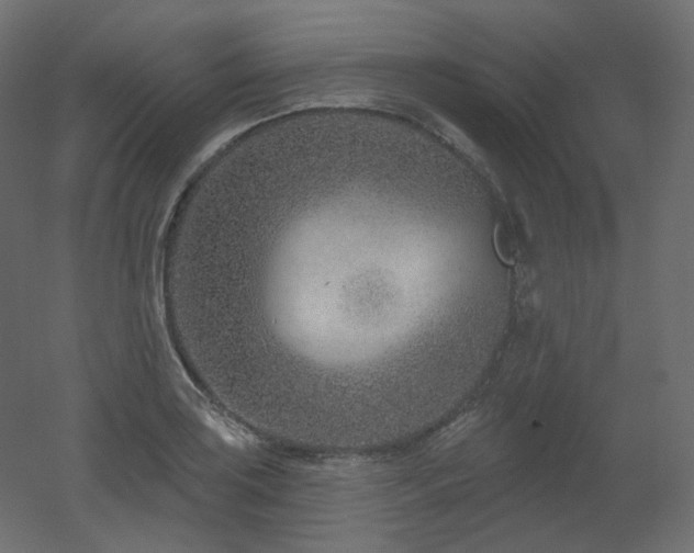 X0000051861035200506241315