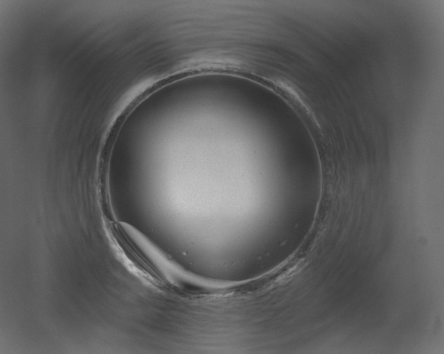 X0000051861038200506241316