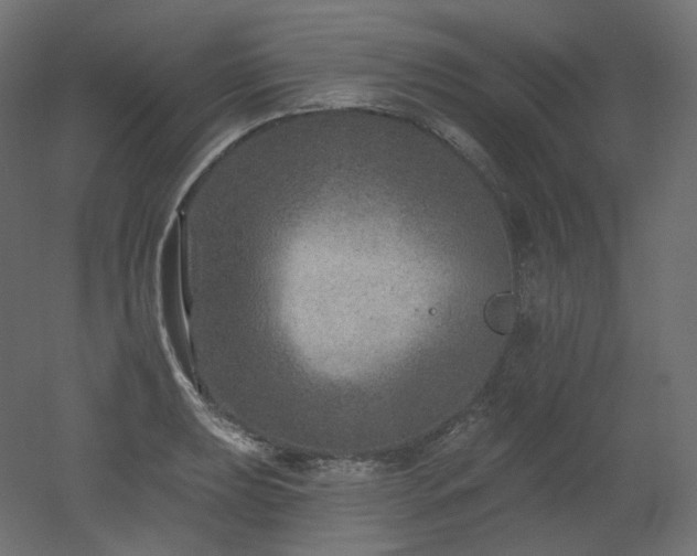 X0000051861039200506241316