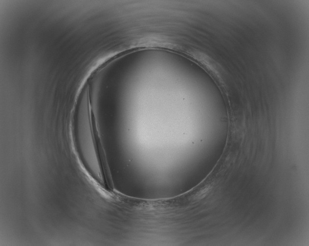 X0000051861040200506241316