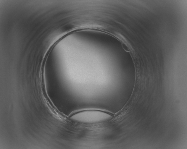 X0000051861044200506241316