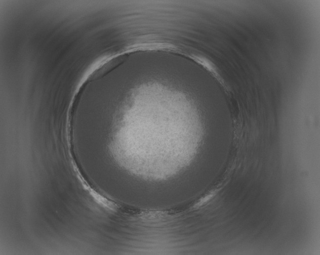 X0000051861046200506241316