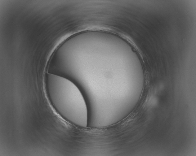 X0000051861048200506241316