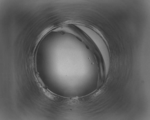 X0000051861050200506241316