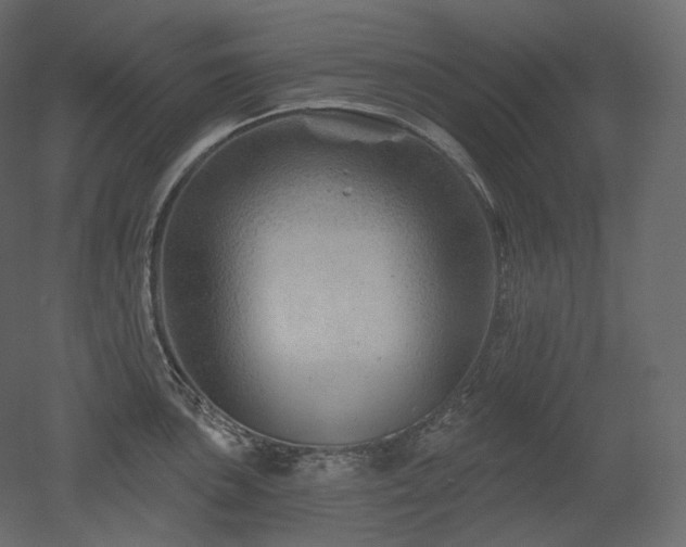 X0000051861051200506241316