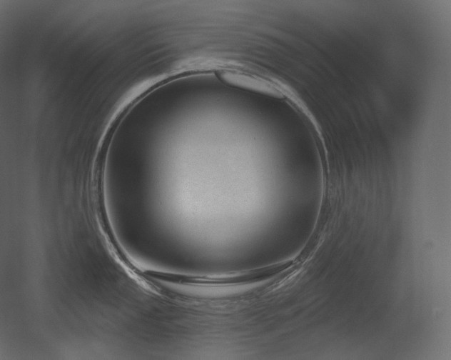 X0000051861053200506241316