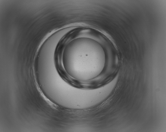 X0000051861054200506241316