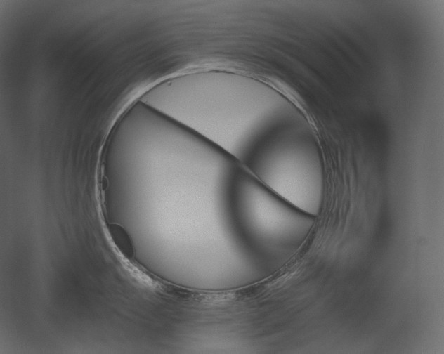 X0000051861055200506241316