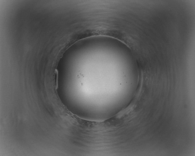 X0000051861057200506241315