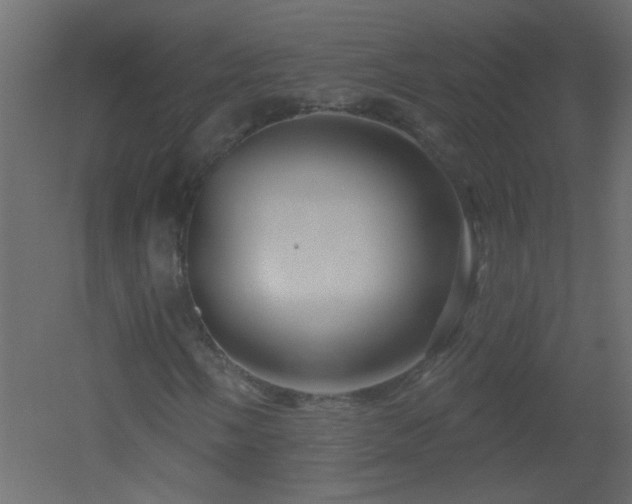 X0000051861058200506241315