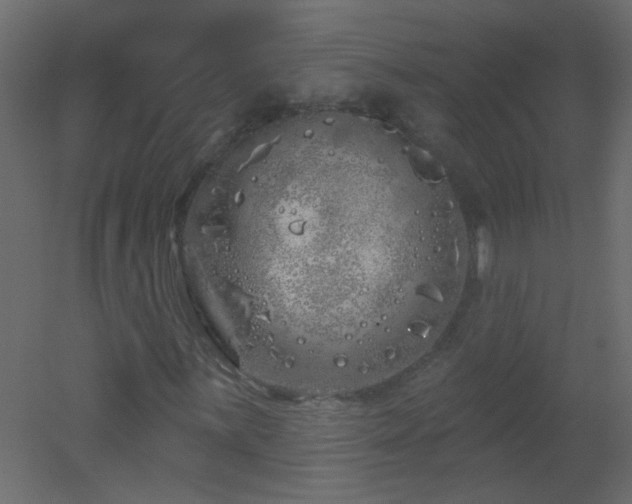 X0000051861059200506241315