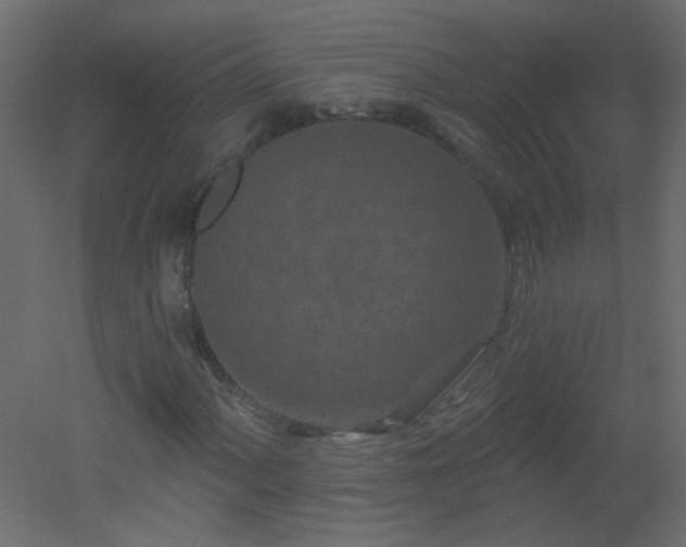 X0000051861060200506241315