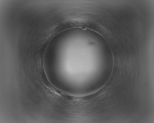 X0000051861061200506241315