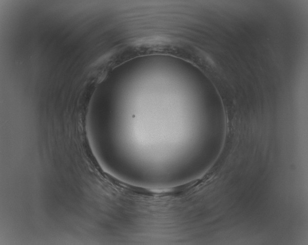 X0000051861062200506241315