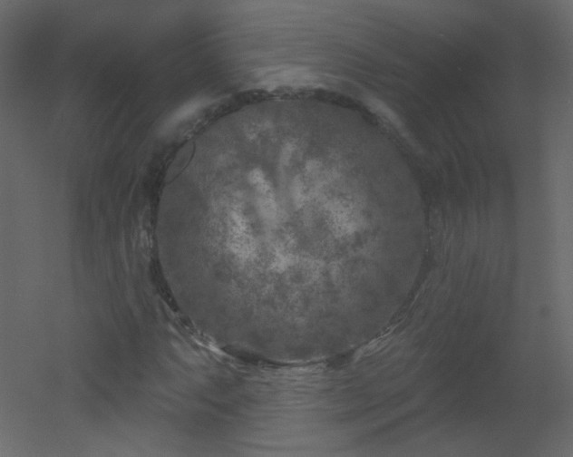 X0000051861063200506241315