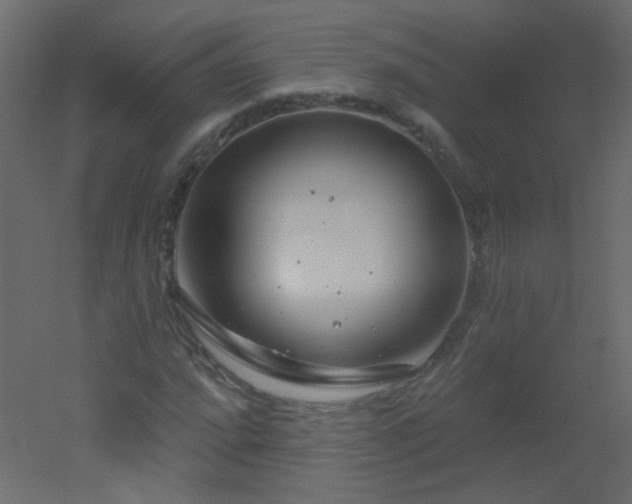 X0000051861064200506241315