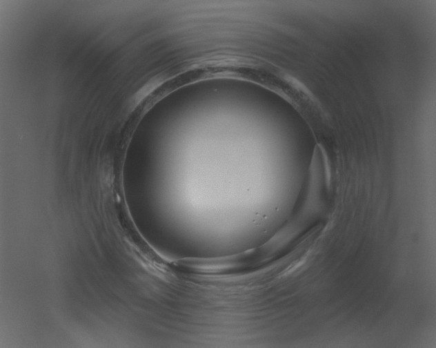 X0000051861065200506241315