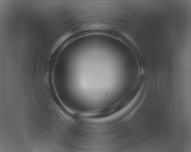 X0000051861066200506241315