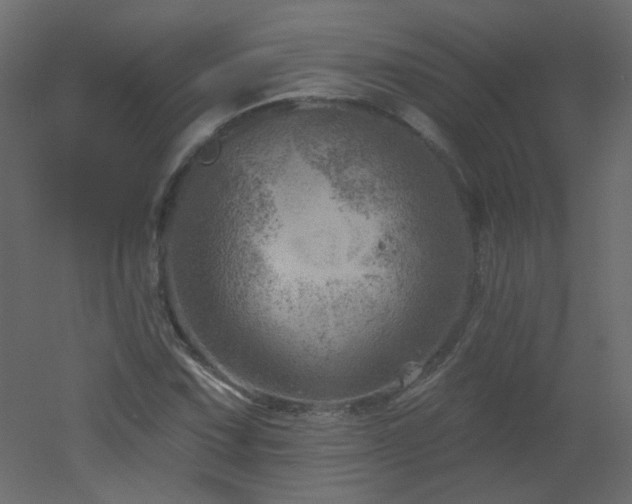 X0000051861067200506241315