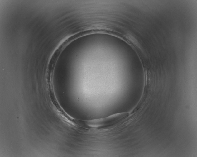 X0000051861068200506241315