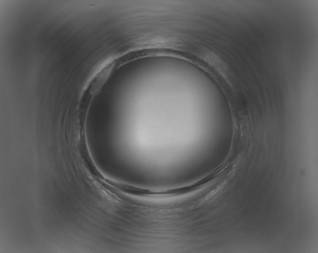 X0000051861069200506241315