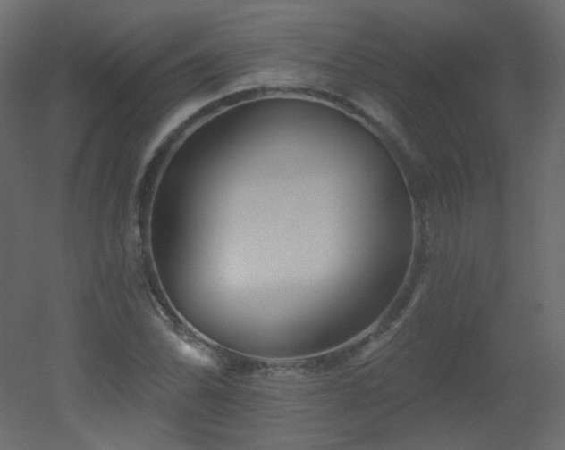 X0000051861070200506241315