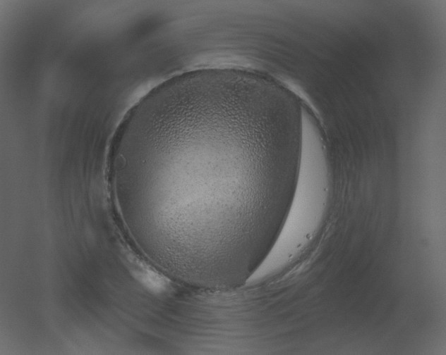 X0000051861071200506241315