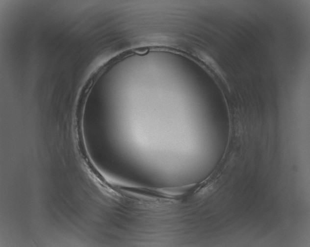 X0000051861072200506241315